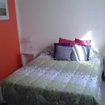 Art Suites