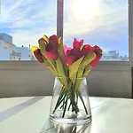 Sol De Palermo