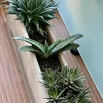 Roma Recoleta Design
