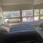 Argentina Suite