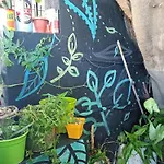 Casa De Botellas
