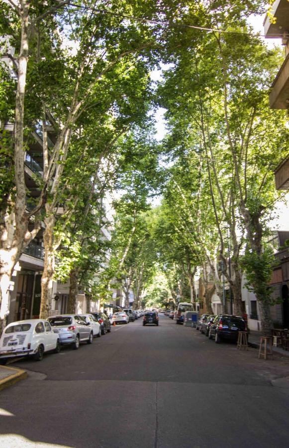 Apartment Amazing Oasis In Heart Of Palermo Hollywood -c1a- *