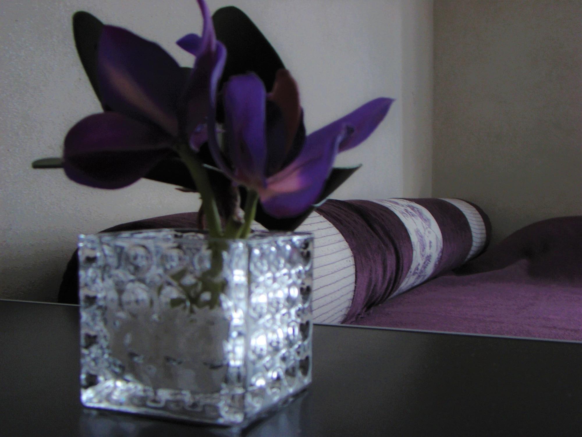 Hotel Petit Recoleta