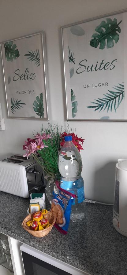 Seliz Luminoso, Con Cochera Y Desayuno Opcional En Cercanía Apartamento Ciudad Autónoma de Buenos Aires