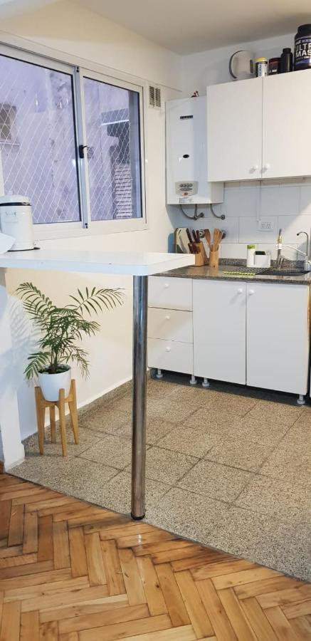 Apartamento En Depto Compartido Con Mascotas