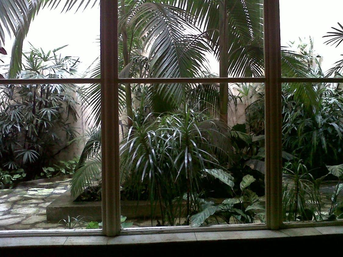 Apartamento Monoambiente Con Vista A Jardin