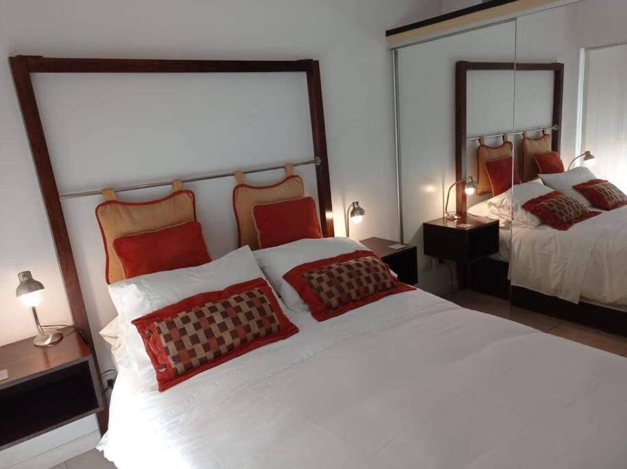 Apartamento Luminoso Y Acogedor Departamento En Recoleta *