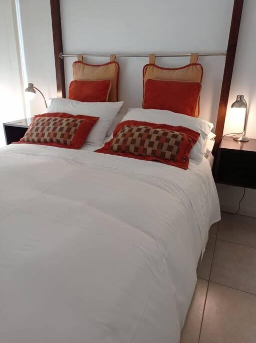 Apartamento Luminoso Y Acogedor Departamento En Recoleta