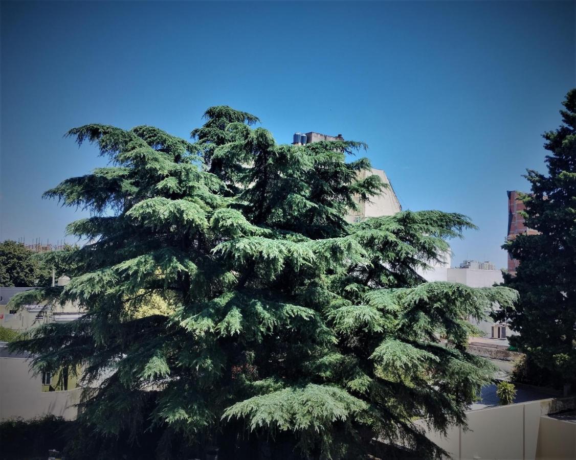 Blue Bird Baires Apartamento *