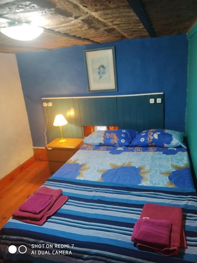 Frida House *