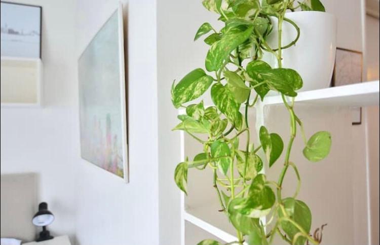 Apartamento Luxury Cañitas Hermoso Monoambiente