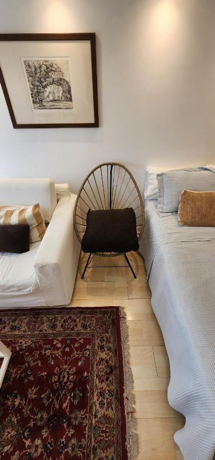 Lovely And Quiet Studio In The Heart Of Recoleta Apartamento *