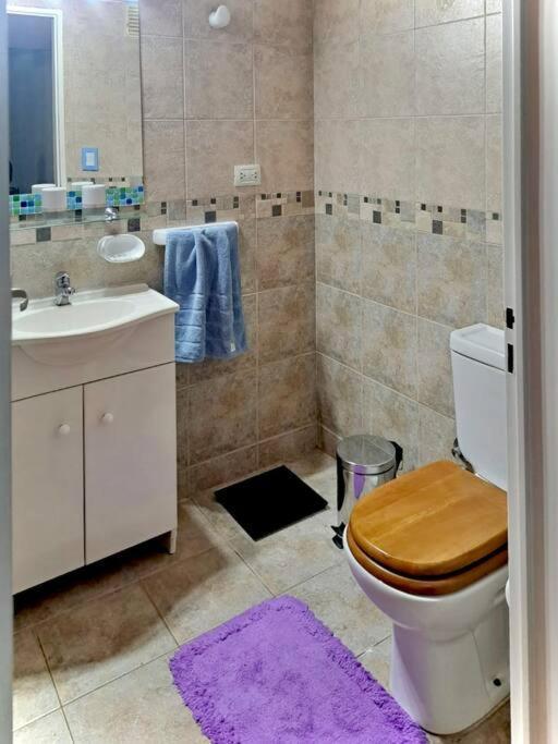 Apartamento Amoblado Tipo Loft *