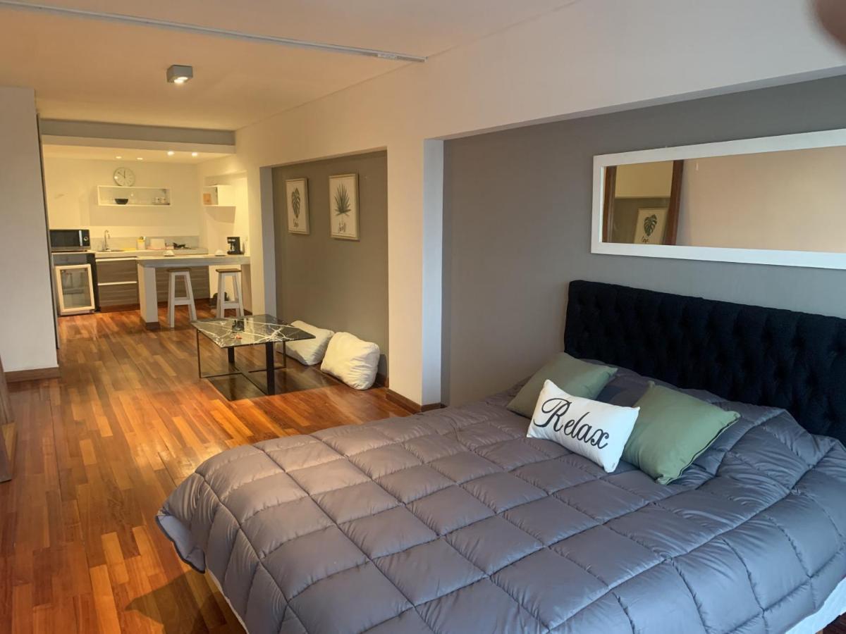 Apartamento Lindo Estudio Em Palermo - Kennedy 11d Buenos Aires