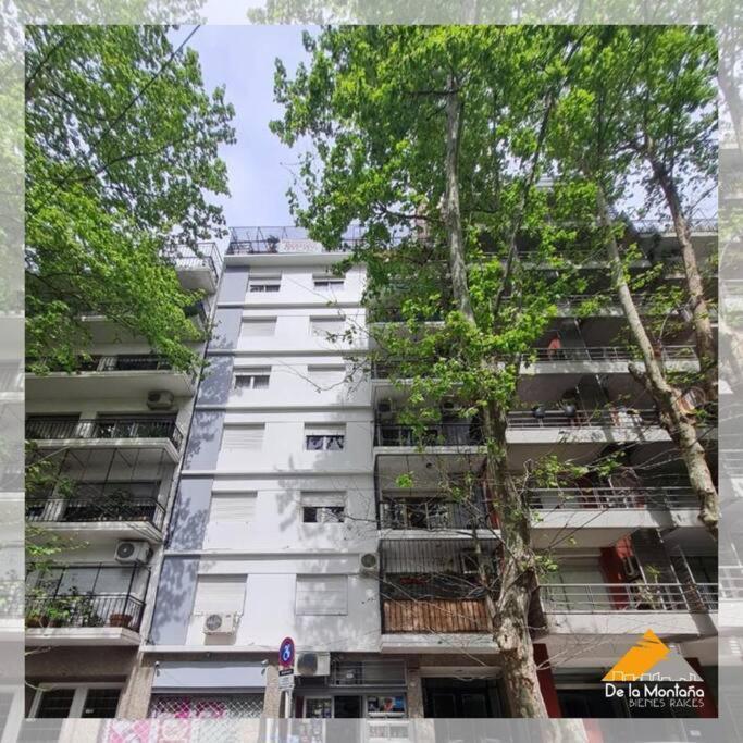 De La Montana • Palermo Ciudad Autónoma de Buenos Aires