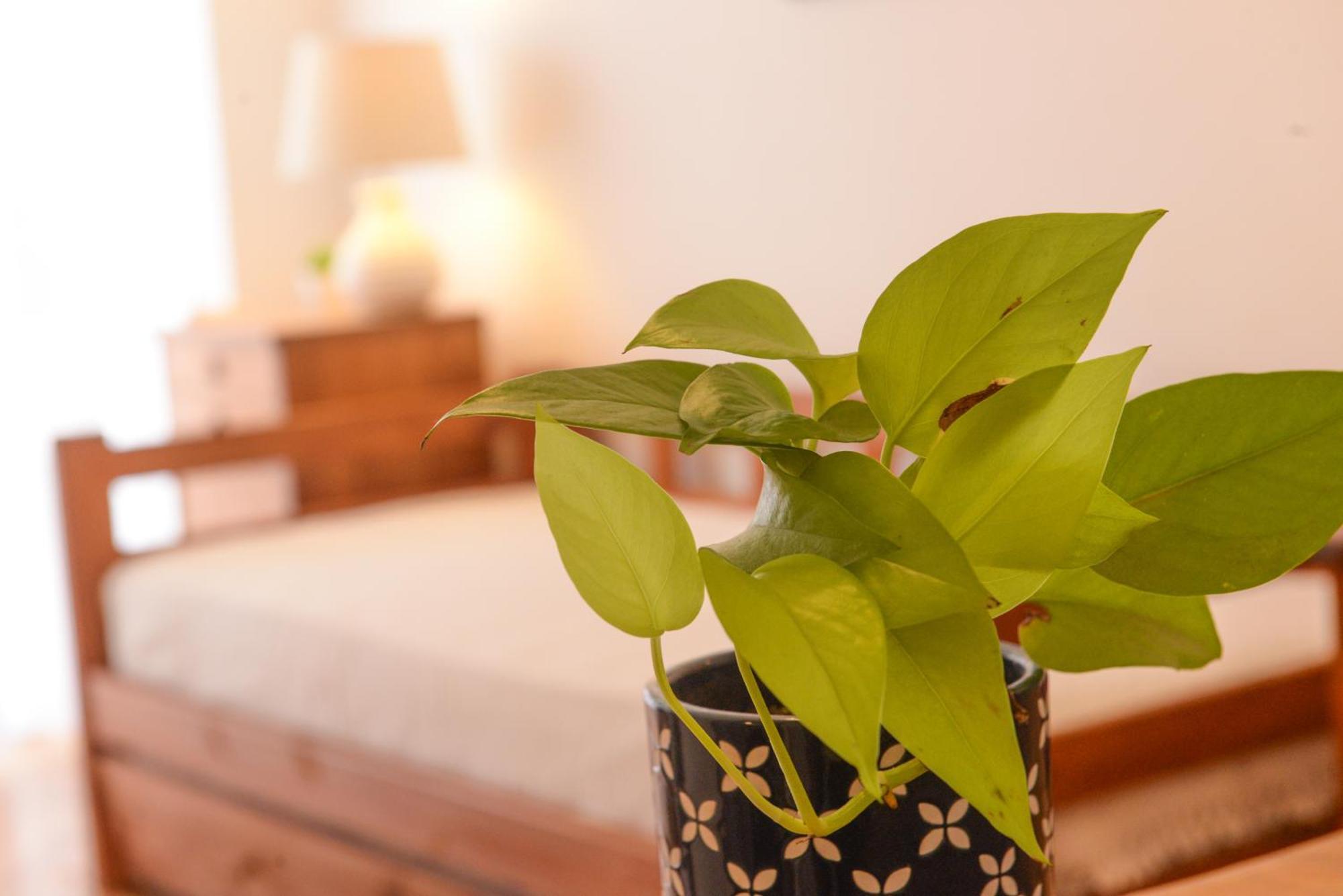 Imperdible En Palermo Botanico La Rural Seguridad 24hs Apartamento Buenos Aires