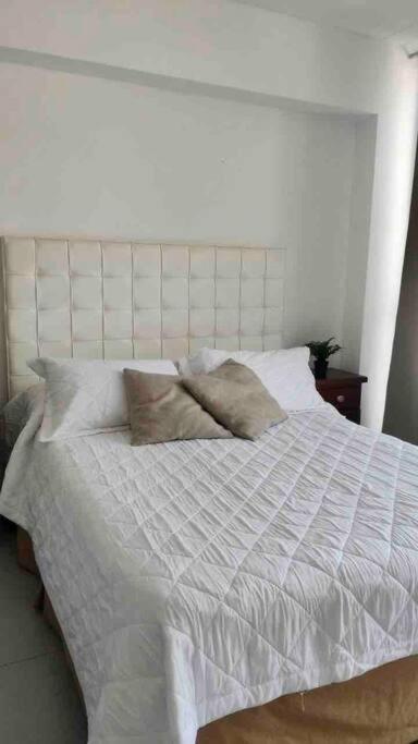 Hermoso Departamento. Muy Luminoso. Palermo, Bsas Apartamento
