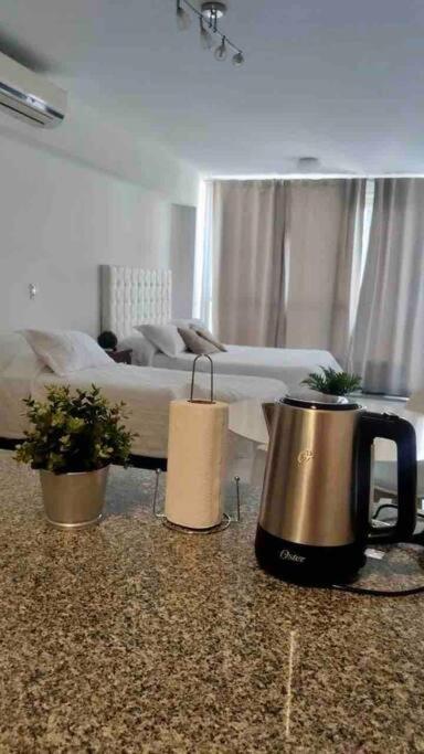 Apartamento Hermoso Departamento. Muy Luminoso. Palermo, Bsas