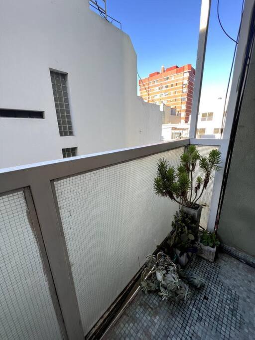 Apartamento Dos Amb. Zona Alto Palermo - Excelente Ubicacion *