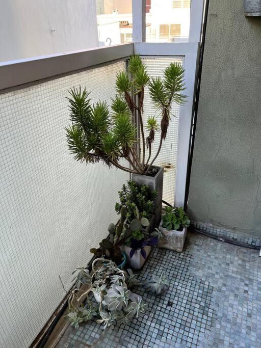 Dos Amb. Zona Alto Palermo - Excelente Ubicacion Apartamento *