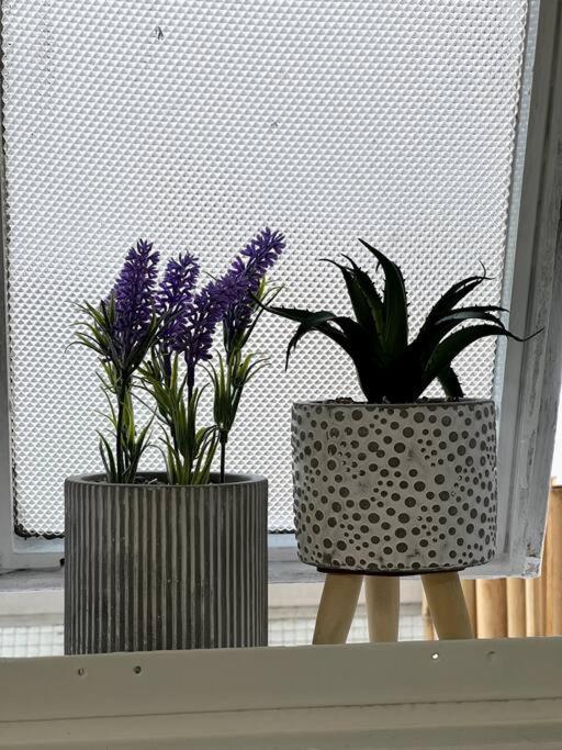 Apartamento Dos Amb. Zona Alto Palermo - Excelente Ubicacion *