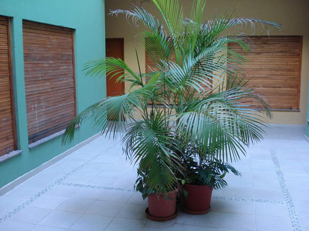 Alcazar Hotel *