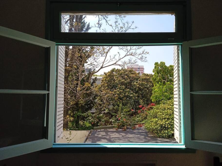 Apartamento Comfortable In Colegiales