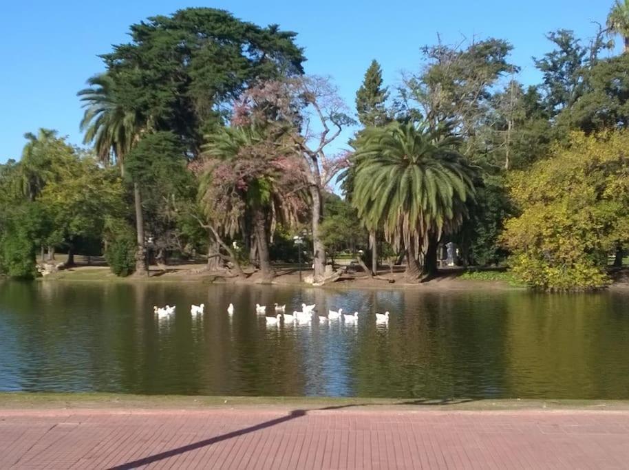 Apartamento Espacio Palermo Hollywood *
