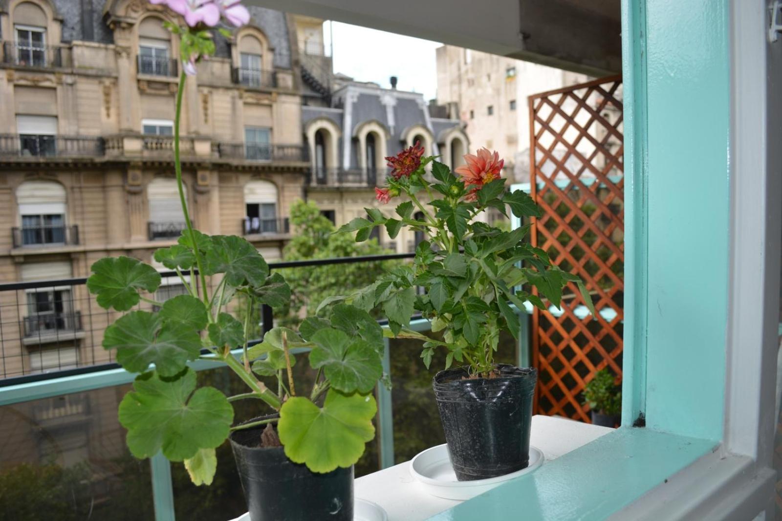 Avenida Apartamento Ciudad Autónoma de Buenos Aires