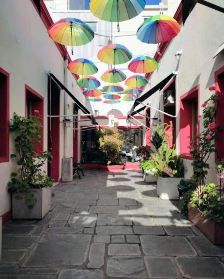 Calido Departamento En San Telmo Ciudad Autónoma de Buenos Aires
