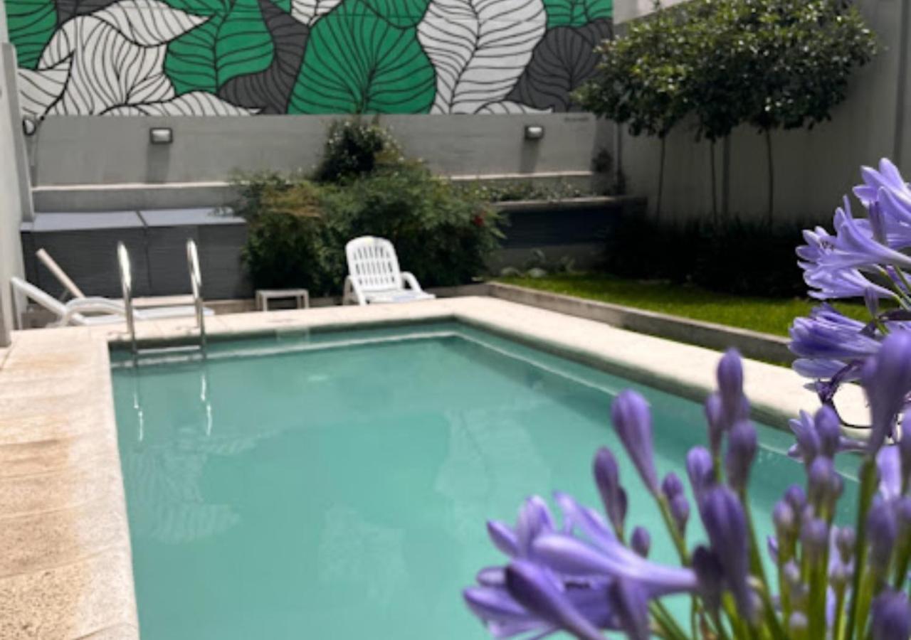 Apartamento Departamento De Calidad Con Amenities *