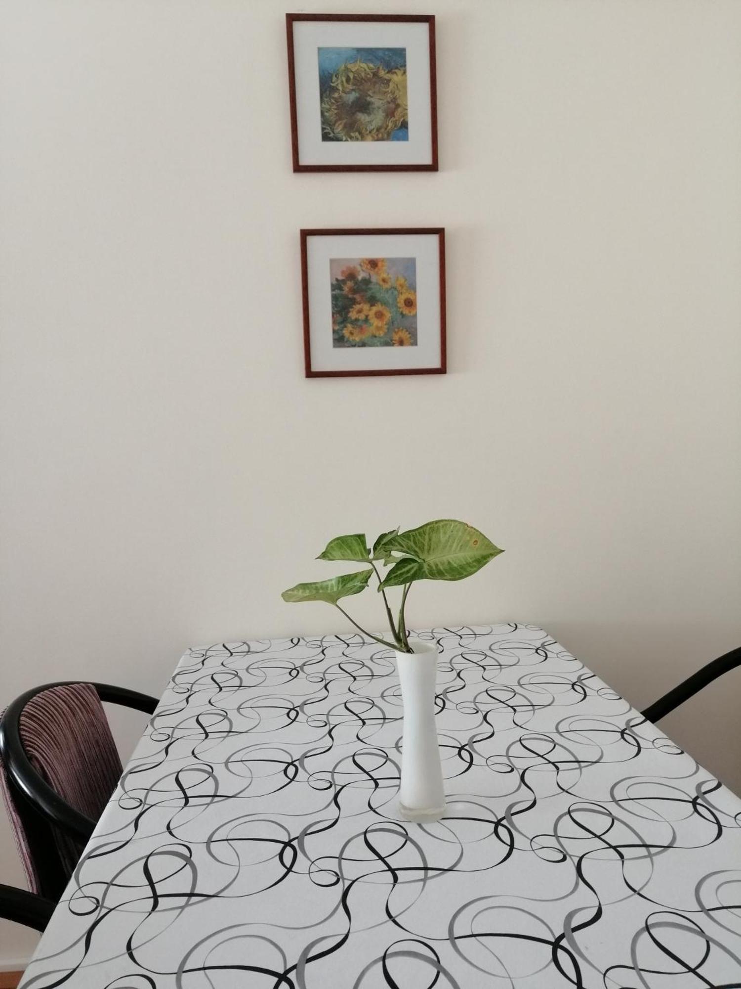 Apartment Baires