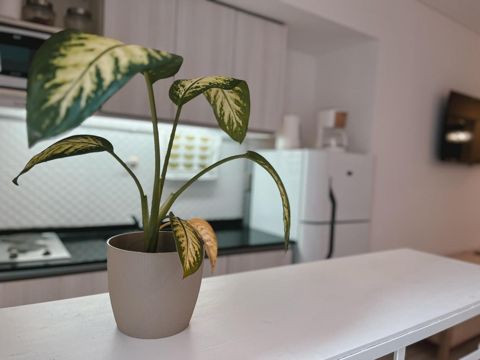 Apartamento Rentup - Monoambiente A Estrenar Con Patio En Palermo Ciudad Autónoma de Buenos Aires