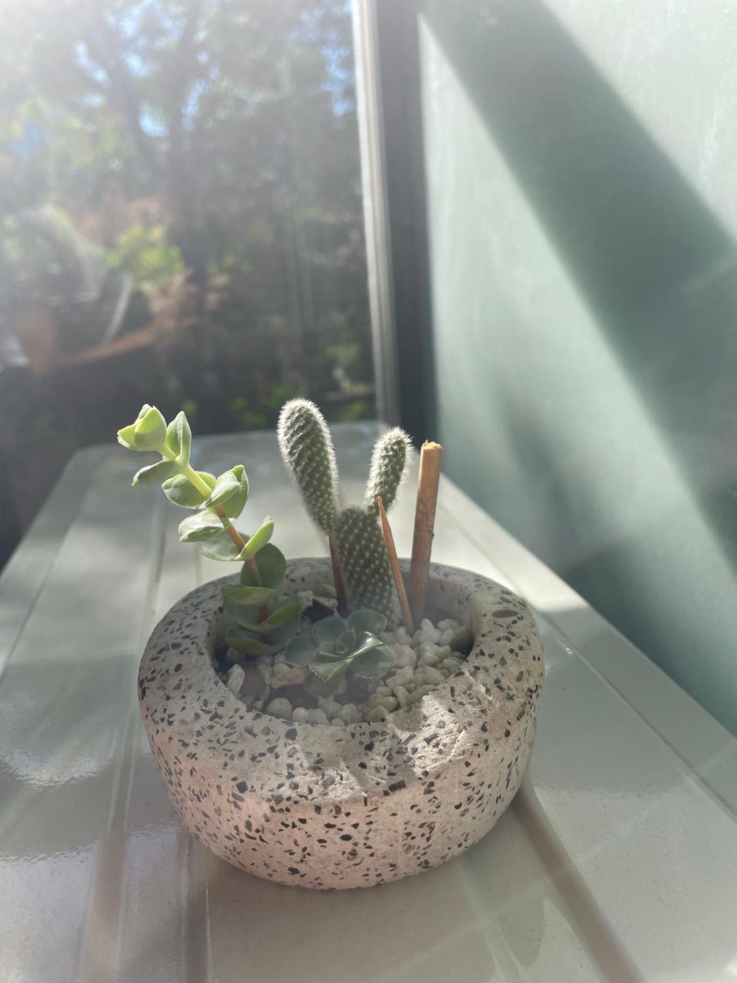 Apartamento Departamento Nuevo En Palermo Soho