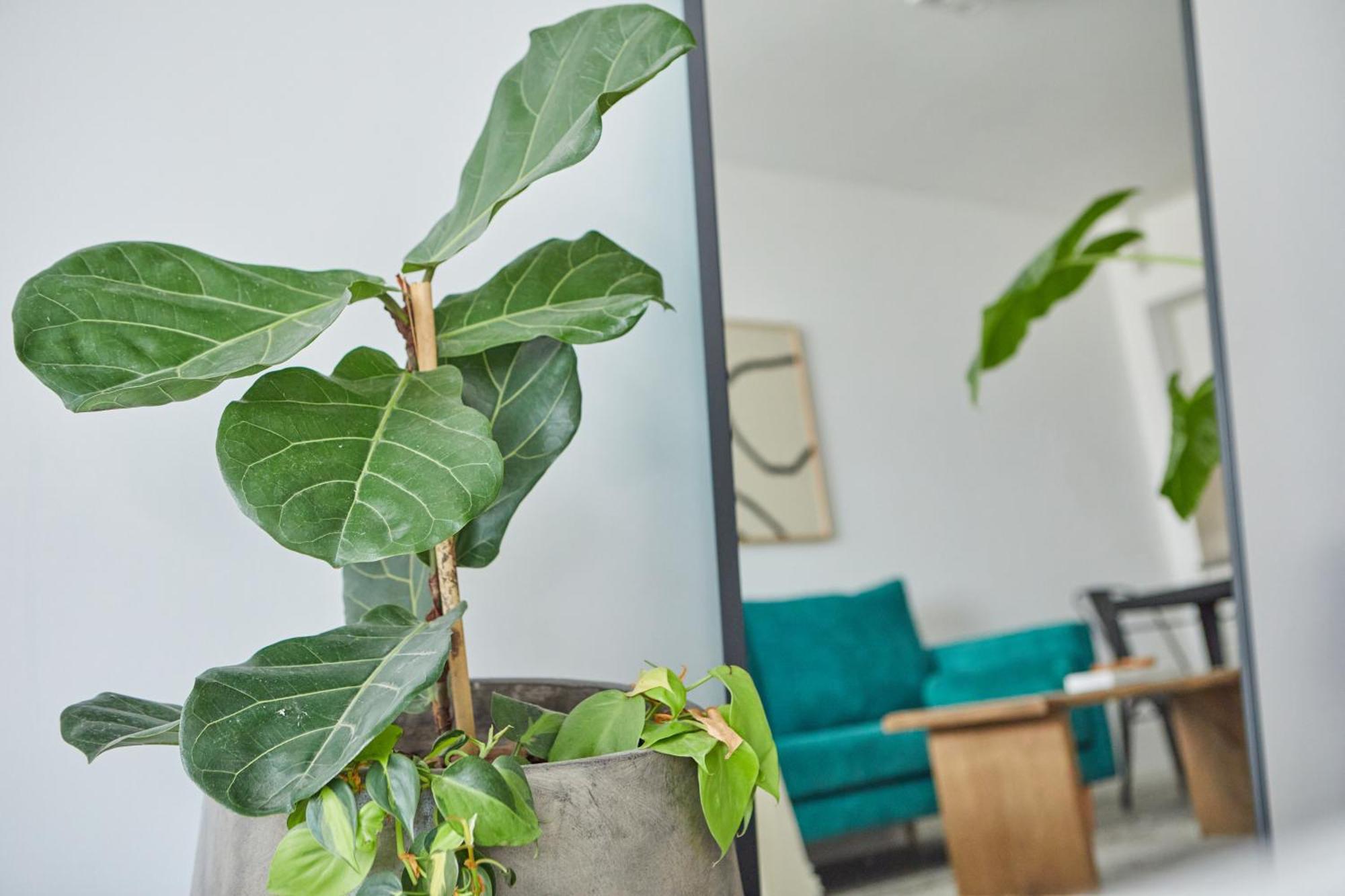 Apartamento Cabello Square Ciudad Autónoma de Buenos Aires