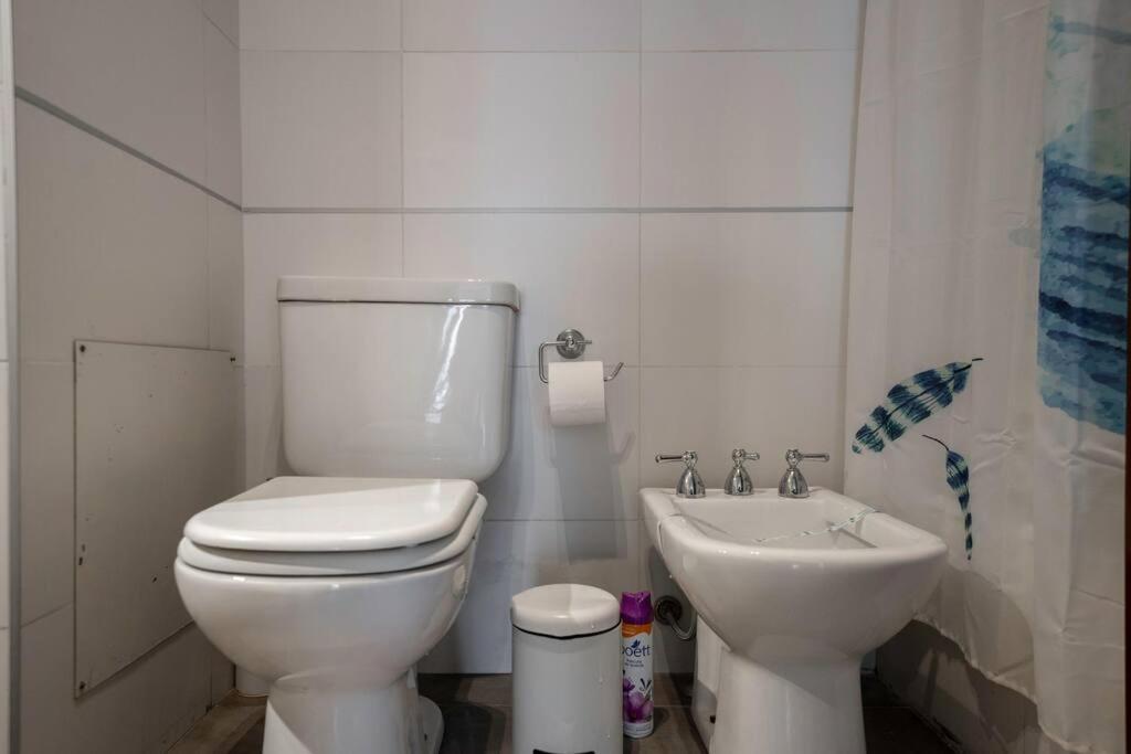 Enjoy Natural Light And Garden View Of Loft * Ciudad Autónoma de Buenos Aires