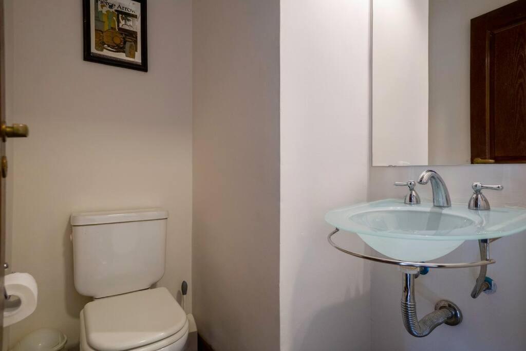 Enjoy Natural Light And Garden View Of Loft *