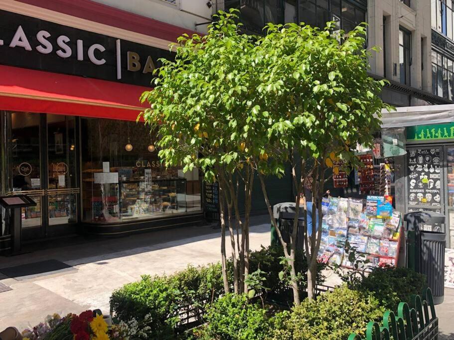 Inmejorable Ubicacion!!!, Peatonal Florida Frente A Galerias Pacifico Y Pza San Martin * Buenos Aires