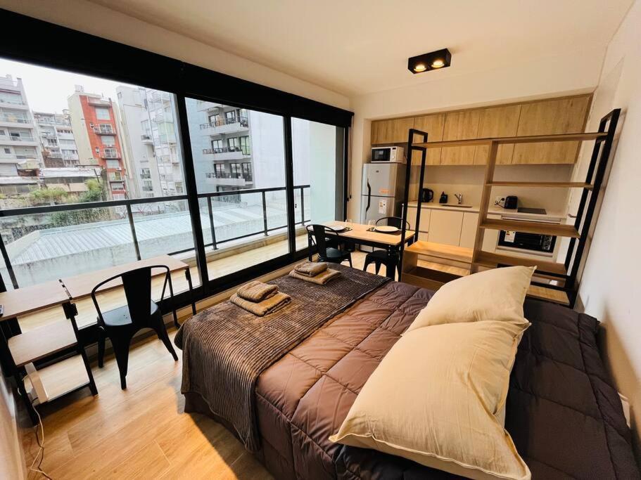 Studio Premium Canitas