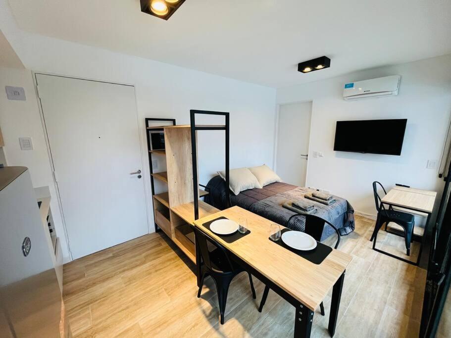 Studio Premium Canitas *