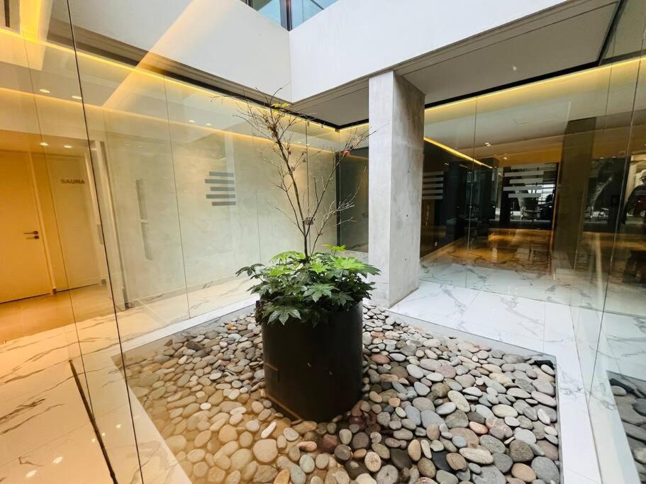 Studio Premium Canitas * Buenos Aires