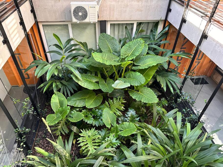 Lovely * Ciudad Autónoma de Buenos Aires