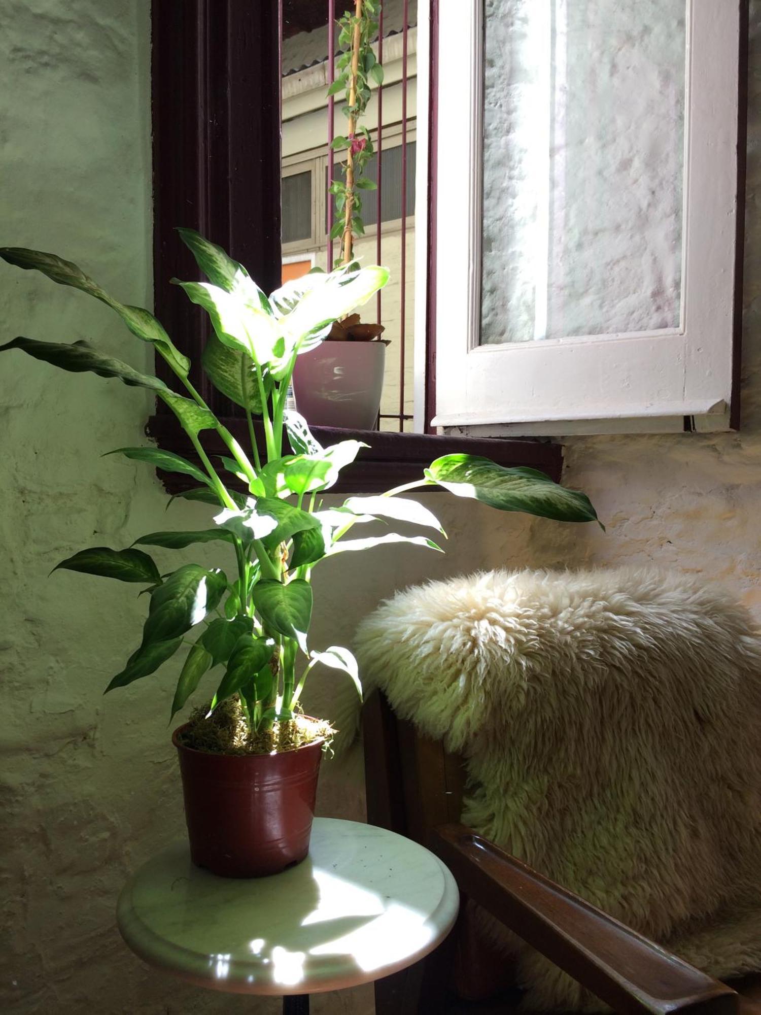 Apartamento White Brick San Telmo *