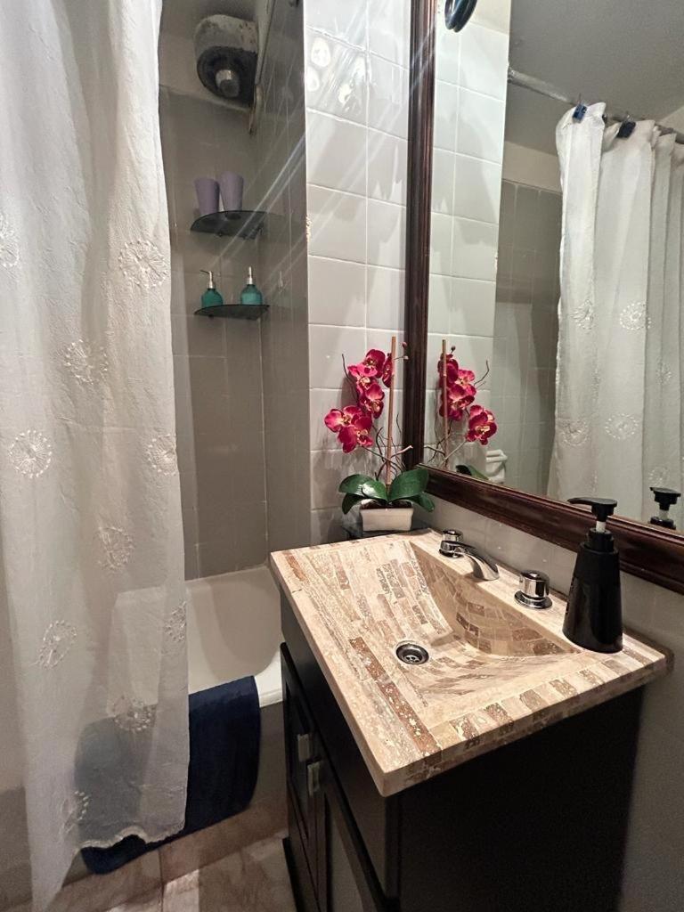 Recoleta, Cerca De Todo , Amplio! Apartamento Buenos Aires