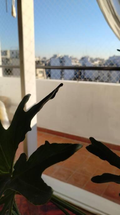 Bright & Spacious Flat In Almagro-perfect For Groups And Families Apartamento