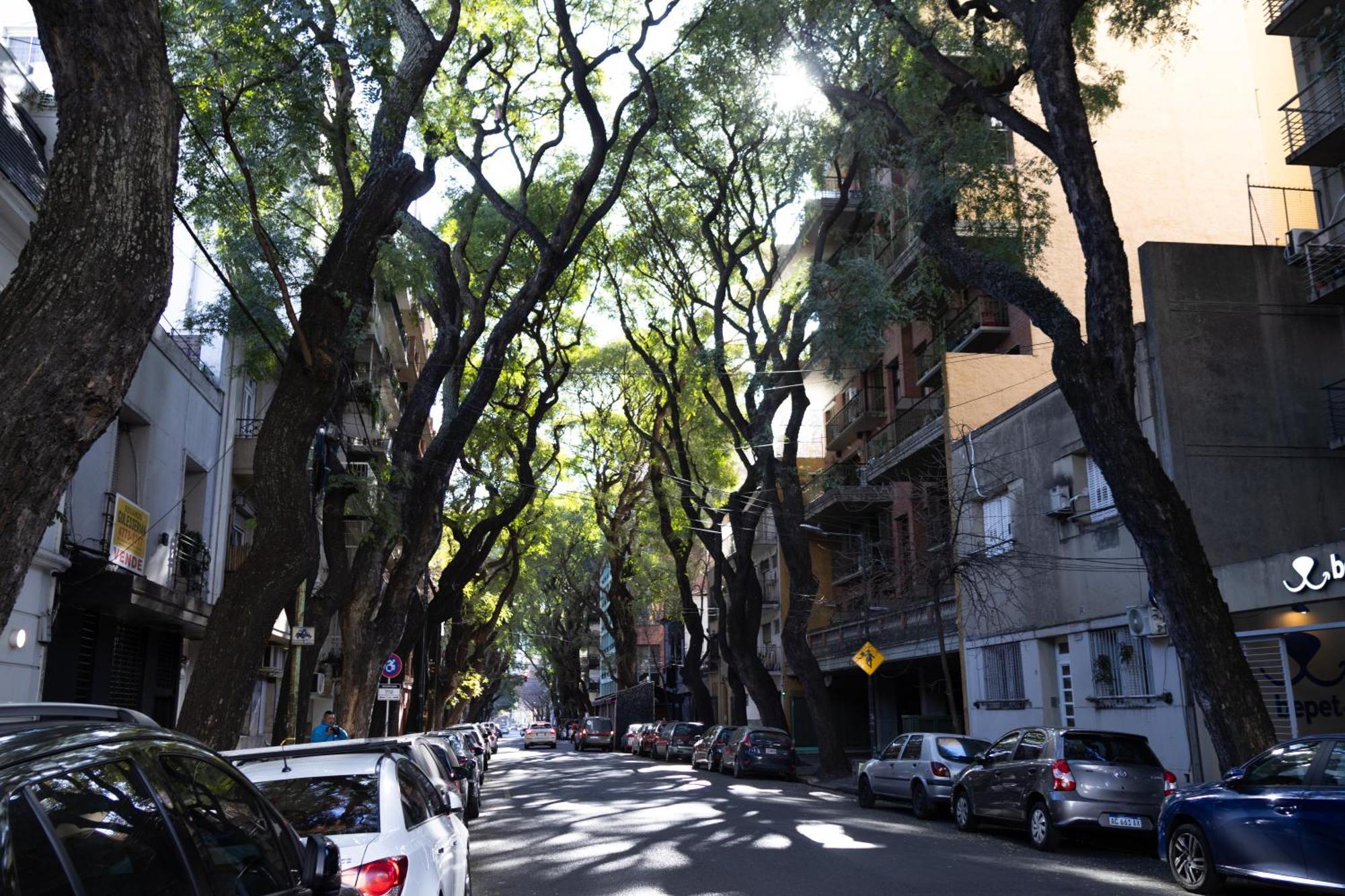 Palermo Soho G4827 - Departamentos Modernos, Amplios Y Luminosos Apartamento