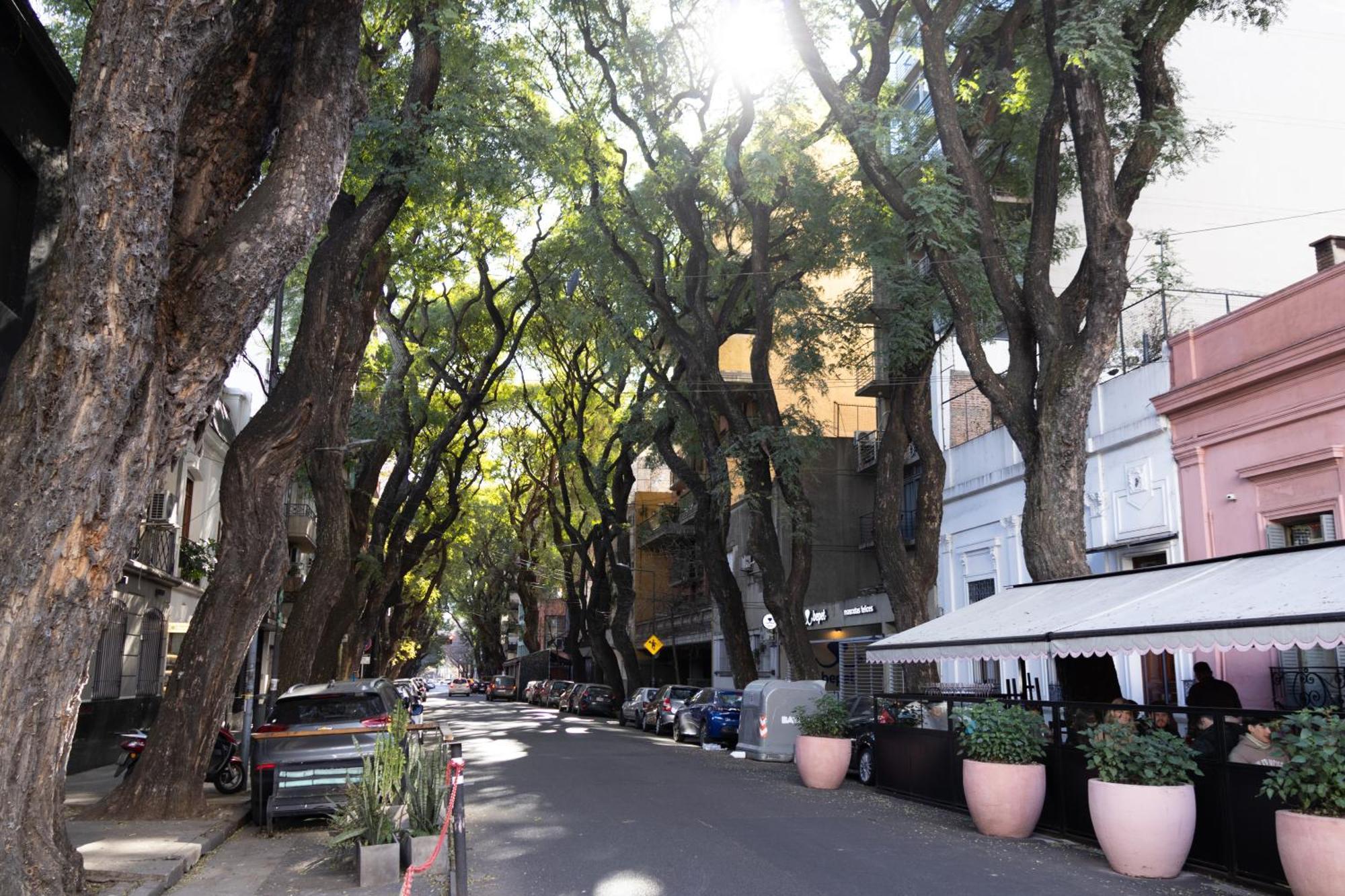 Apartamento Palermo Soho G4827 - Departamentos Modernos, Amplios Y Luminosos *