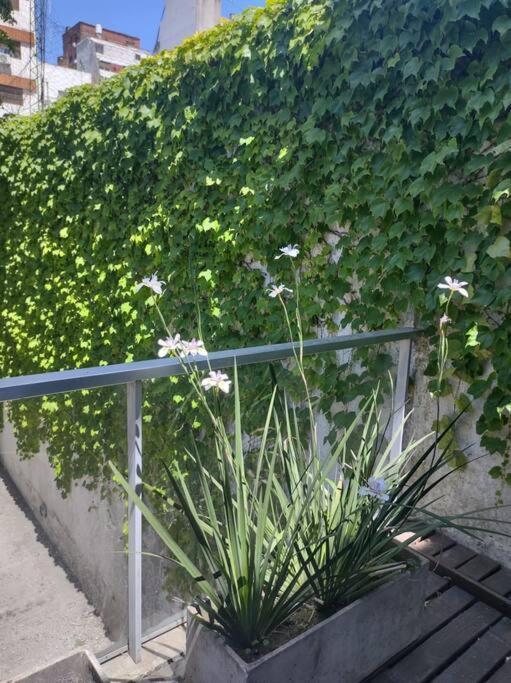 Apartamento Increible Duplex En Canitas!