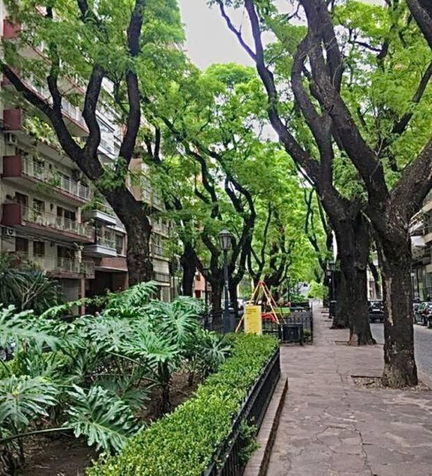 Apartamento Increible Duplex En Canitas!