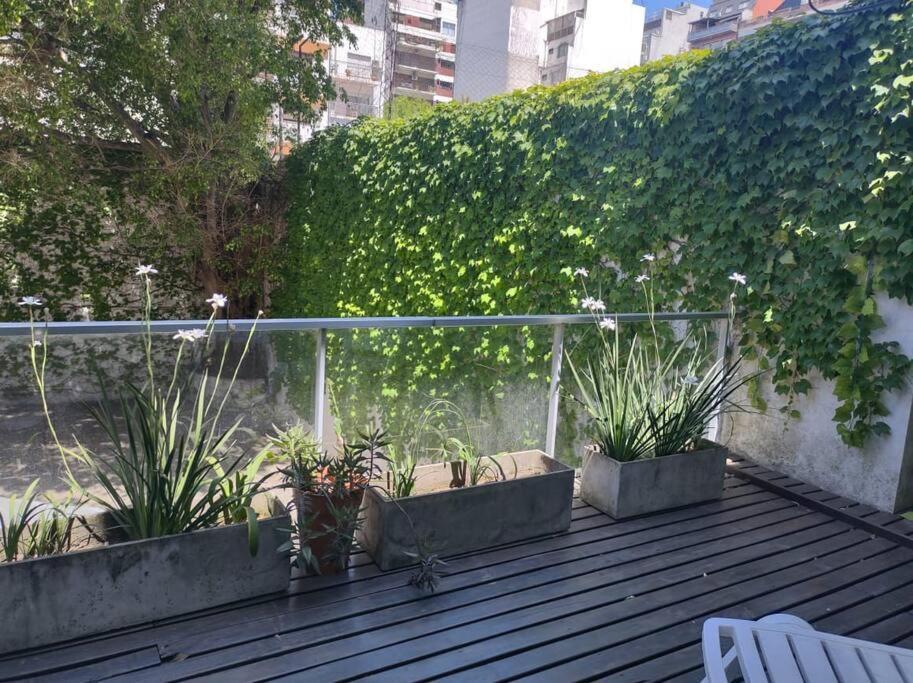 Apartamento Increible Duplex En Canitas! *